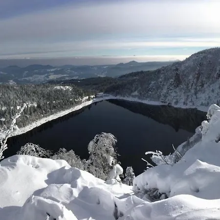 Διαμέρισμα Avec Piscine Chez Vero Breitenbach-Haut-Rhin