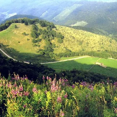 Apartmán Avec Piscine Chez Vero Breitenbach-Haut-Rhin