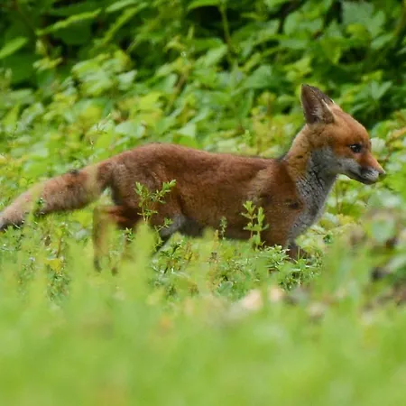 Avec Piscine Chez Vero Διαμέρισμα