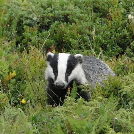 Avec Piscine Chez Vero Διαμέρισμα *