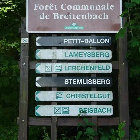 Διαμέρισμα Avec Piscine Chez Vero Breitenbach-Haut-Rhin
