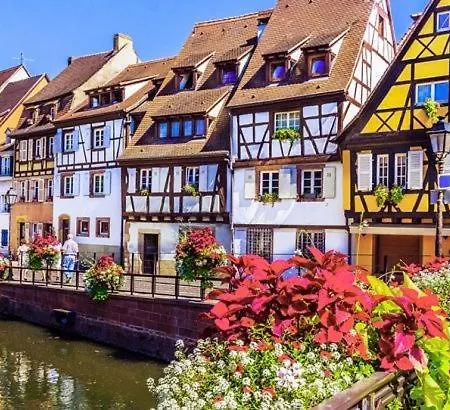 Avec Piscine Chez Vero Breitenbach-Haut-Rhin