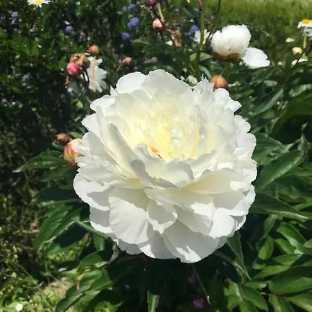 Avec Piscine Chez Véro Appartamento