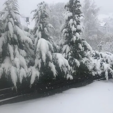 Avec Piscine Chez Vero * Breitenbach-Haut-Rhin