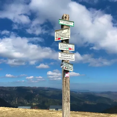 Avec Piscine Chez Vero *