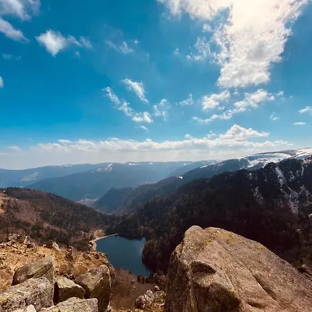 Avec Piscine Chez Vero Διαμέρισμα Breitenbach-Haut-Rhin