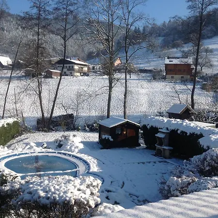Διαμέρισμα Avec Piscine Chez Vero Breitenbach-Haut-Rhin