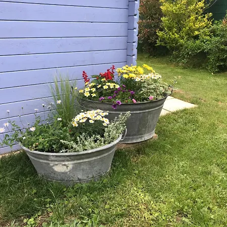 Apartamento Avec Piscine Chez Véro Breitenbach-Haut-Rhin
