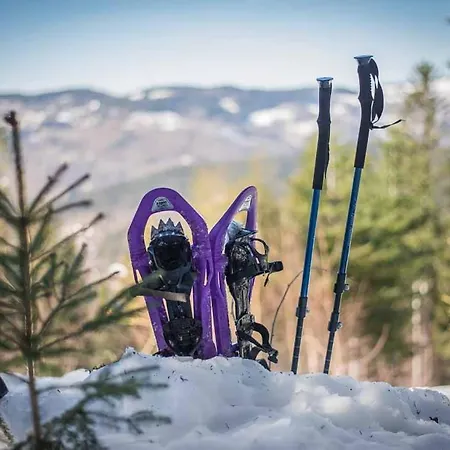 Avec Piscine Chez Vero Διαμέρισμα
