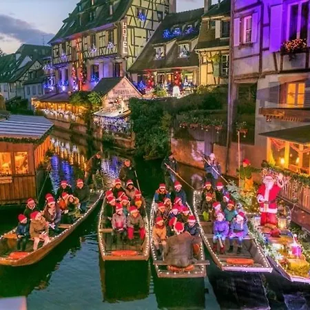 Avec Piscine Chez Vero Διαμέρισμα Breitenbach-Haut-Rhin