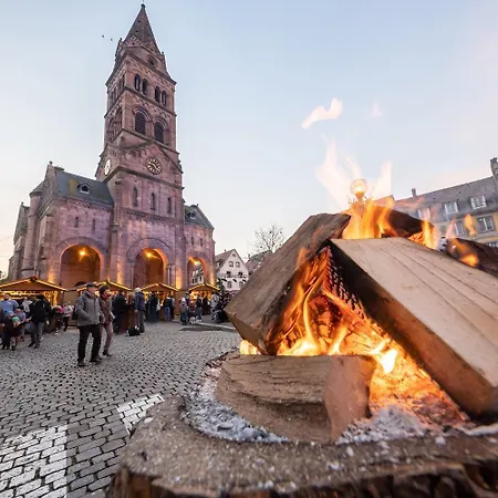Διαμέρισμα Avec Piscine Chez Vero Breitenbach-Haut-Rhin