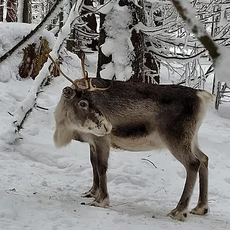 Διαμέρισμα Avec Piscine Chez Vero *