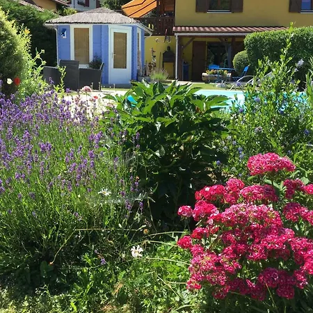 Avec Piscine Chez Vero *
